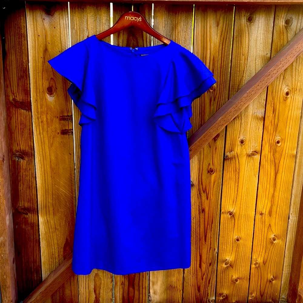 Bright Blue Ali Ro Dress, Size 4.